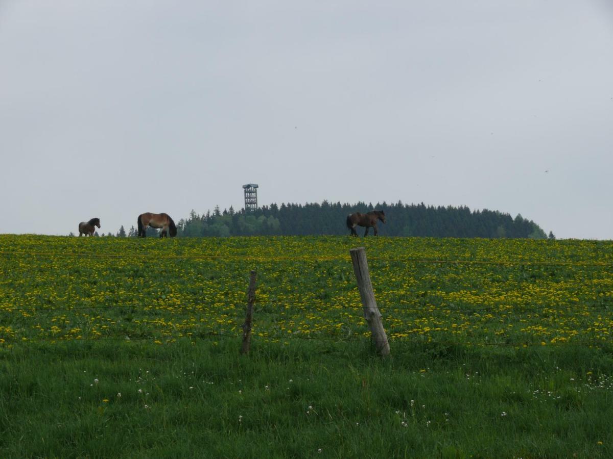 Ferienwohnung Nimm Dir Zeit Hinterhermsdorf Luaran gambar
